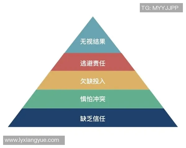 杭州羽毛球队团队协作分析与其他队伍的比较研究