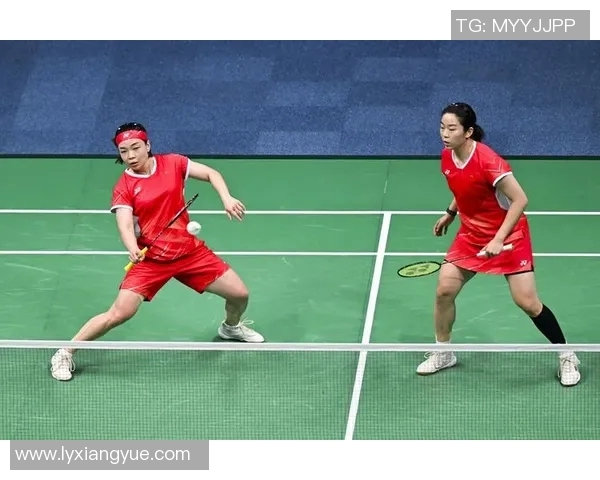 羽毛球热议聚焦杭州羽毛球队力量争议引发的深层次思考与讨论