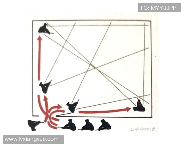 西安羽毛球队整体压制战术解析与实战应用探讨 西安羽毛球队整体压制战术解析与实战应用探讨