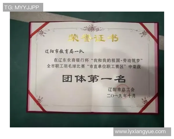 南京羽毛球队荣登羽毛球比赛经验排行榜第一名的背后故事与成就分析