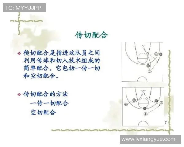 广州篮球队在精英赛中的战术表现分析与总结