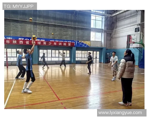 排球盛宴揭秘西安排球队实力与战术分析之旅