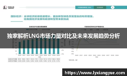 独家解析LNG市场力量对比及未来发展趋势分析